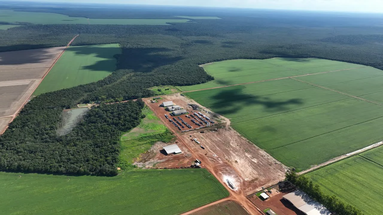 Paisagem aérea de extensa área de cultivo agrícola